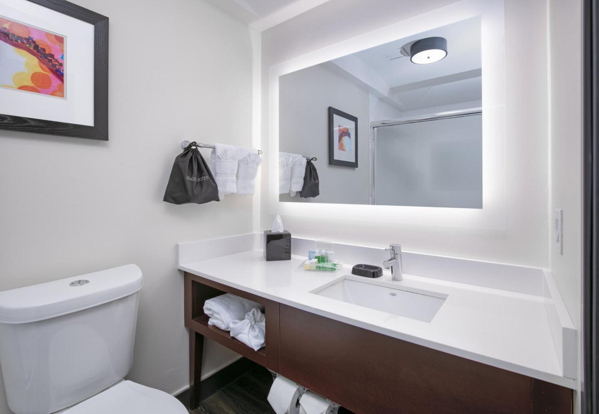 Holiday Inn Dallas - Fort Worth Airport South By Ihg Exterior foto
